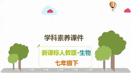 人教版七年级下册生物素养课件 第四章 人体内物质的运输