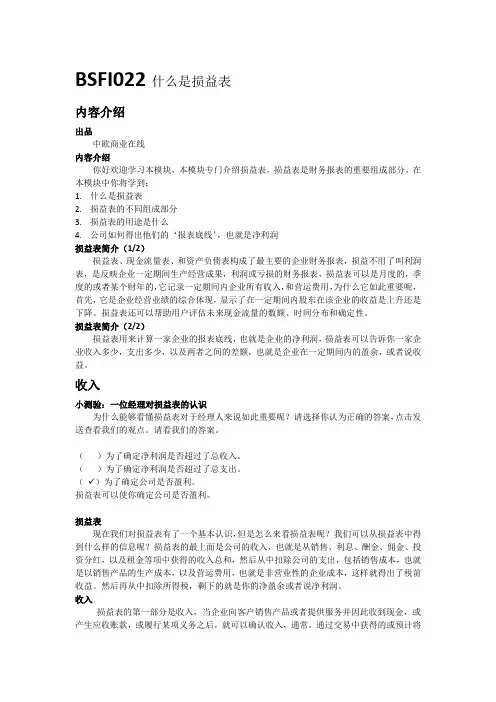 什么是损益表 (1)