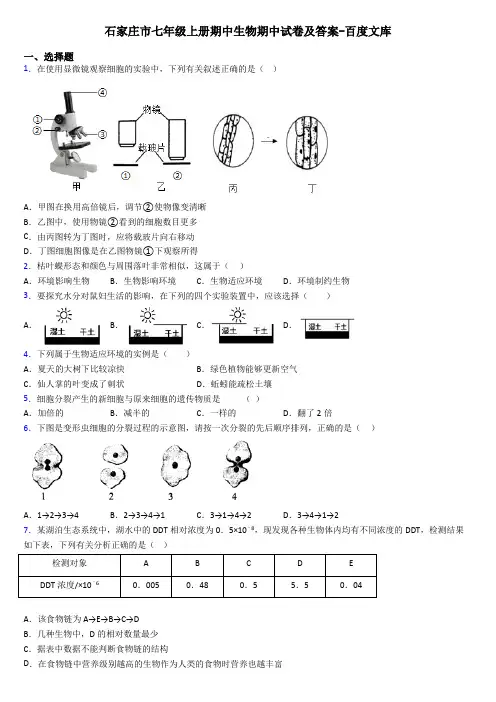石家庄市七年级上册期中生物期中试卷及答案-百度文库