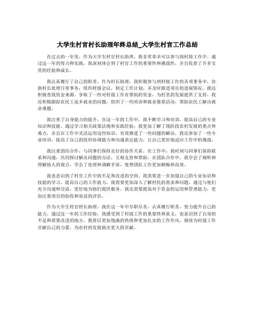 大学生村官村长助理年终总结_大学生村官工作总结