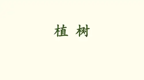 北师大版三年级数学上册 《植树》PPT课件