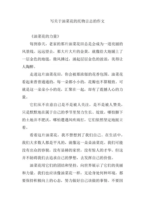 写关于油菜花的托物言志的作文