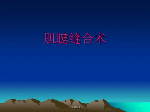肌腱缝合术ppt课件