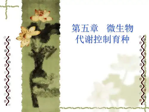 5第五章 代谢调控育种