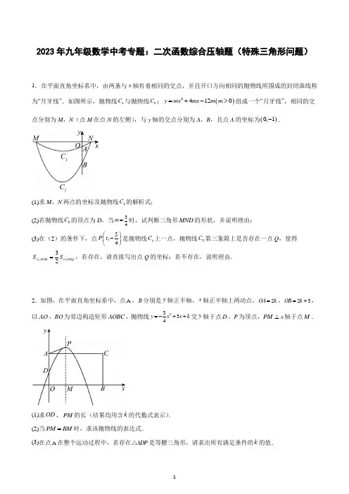 2023年九年级数学中考专题：二次函数综合压轴题(特殊三角形问题)