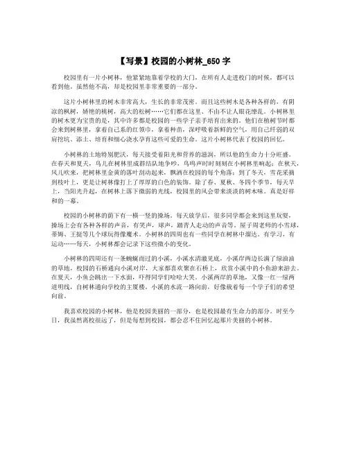 【写景】校园的小树林_650字