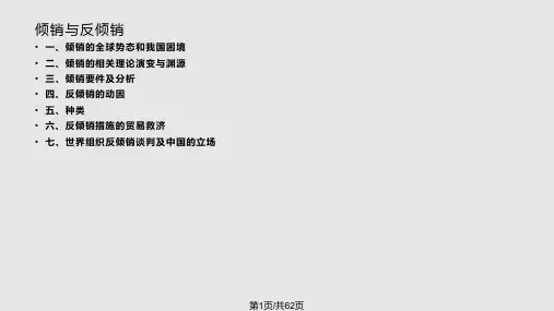 倾销与反倾销PPT课件