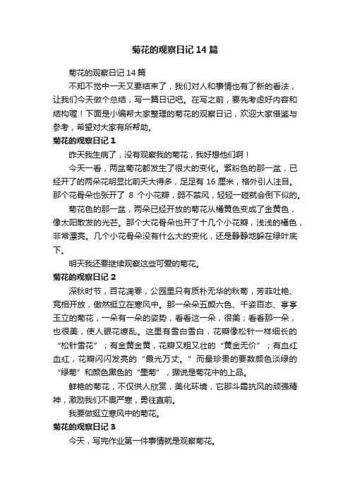 菊花的观察日记14篇