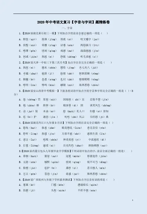 2020年中考语文复习【字音与字词】题精练卷附答案解析