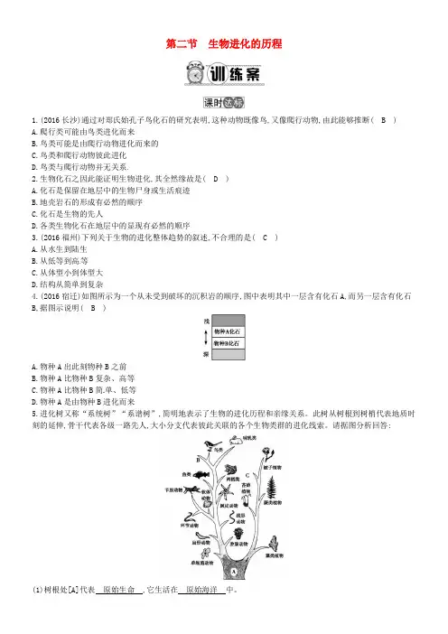 八年级生物下册第七单元第三章第二节生物进化的历程练习新版新人教版