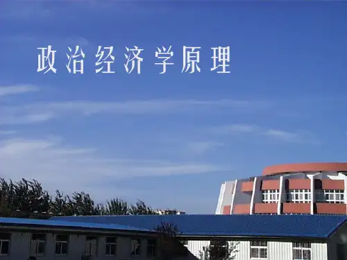 政治经济学-社会主义初级阶段的所有制结构