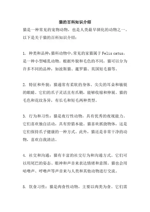 猫的百科知识介绍