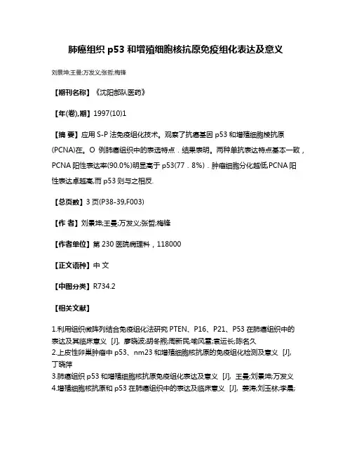 肺癌组织p53和增殖细胞核抗原免疫组化表达及意义