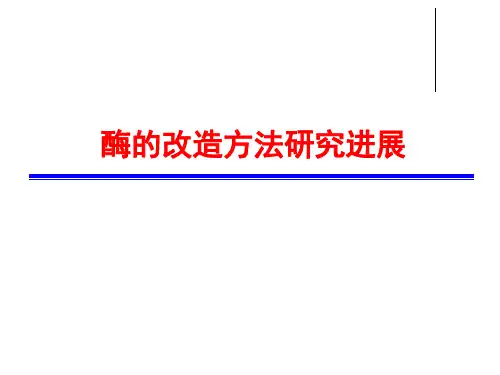 酶的改造方法进展