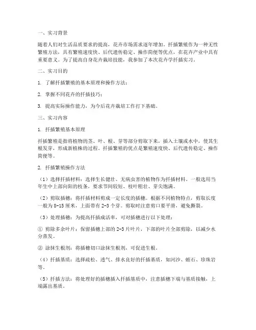 花卉学扦插实习报告