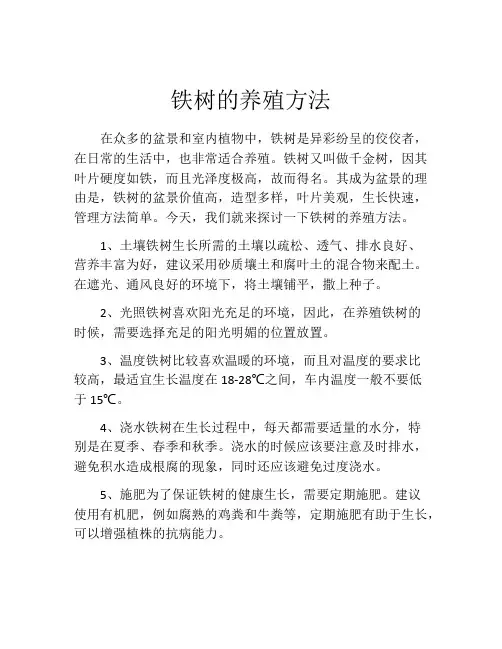 铁树的养殖方法