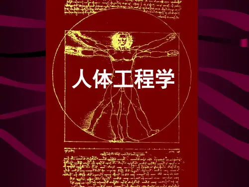 人体工程学