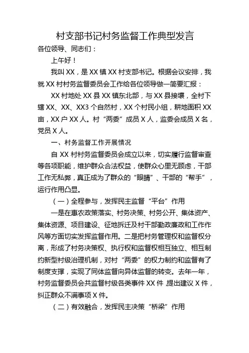 村支部书记村务监督工作典型发言