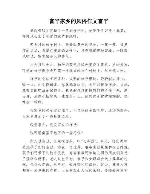 富平家乡的风俗作文富平