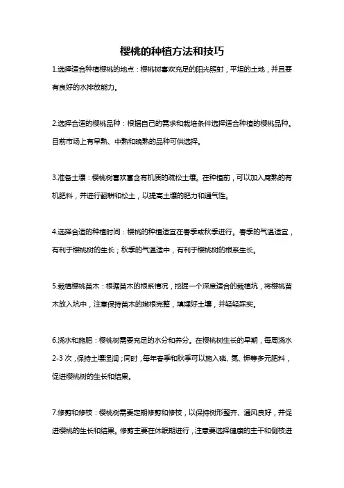 樱桃的种植方法和技巧 2