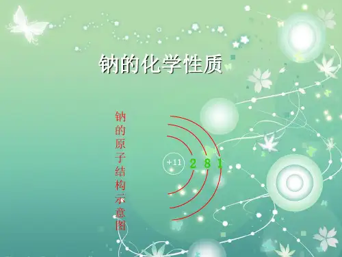 钠的化学性质PPT教学课件