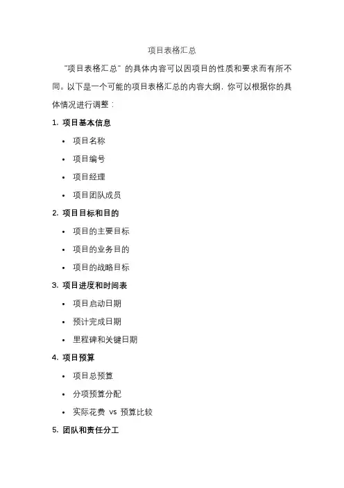 项目表格汇总