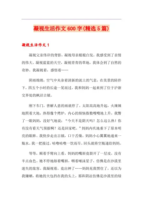 凝视生活作文600字(精选5篇)