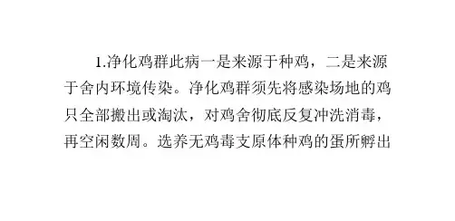 鸡毒支原体的综合防制