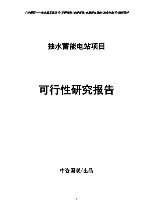 抽水蓄能电站项目可行性研究报告