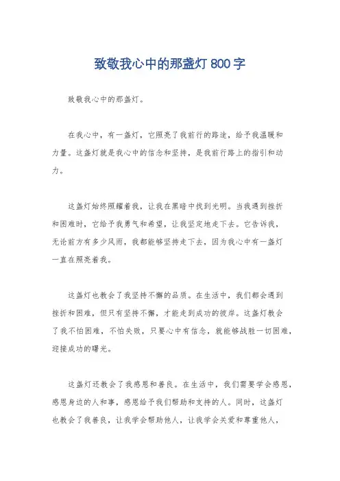 致敬我心中的那盏灯800字