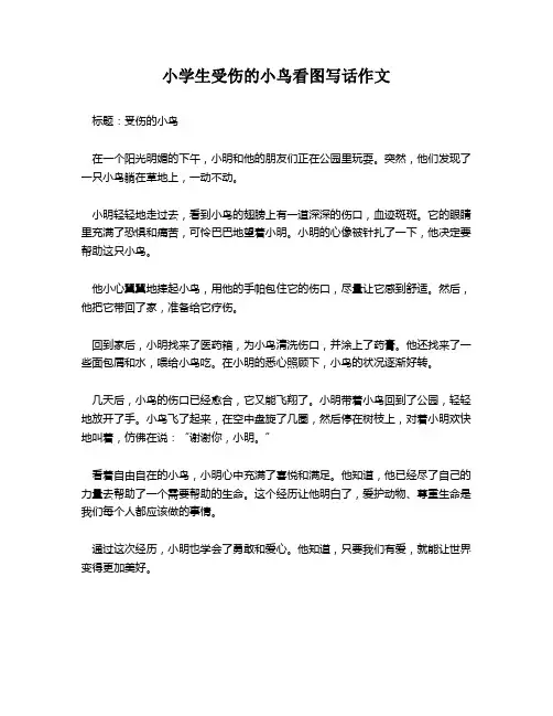 小学生受伤的小鸟看图写话作文