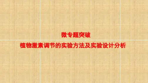 高中生物 第1章 植物生命活动的调节 植物激素调节的实验方法及实验设计分析微专题突破名师精编课件 浙科版