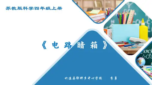 《电路暗箱》电子课件