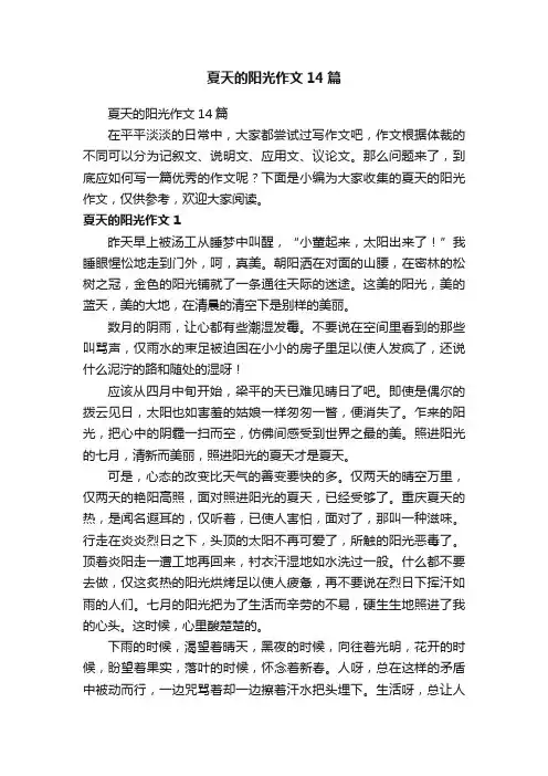 夏天的阳光作文14篇