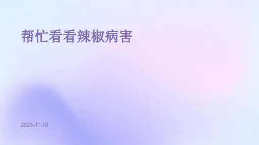 帮忙看看辣椒病害