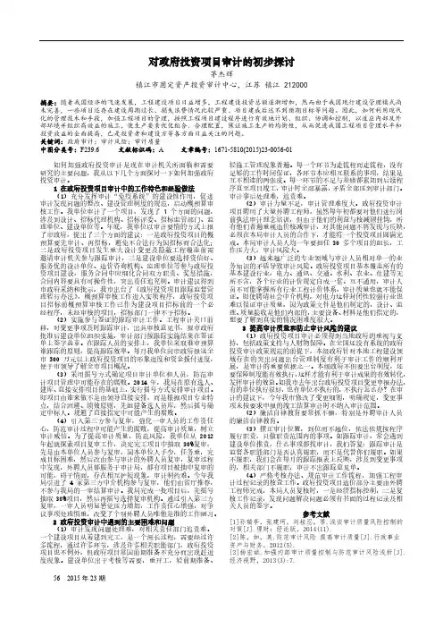 对政府投资项目审计的初步探讨