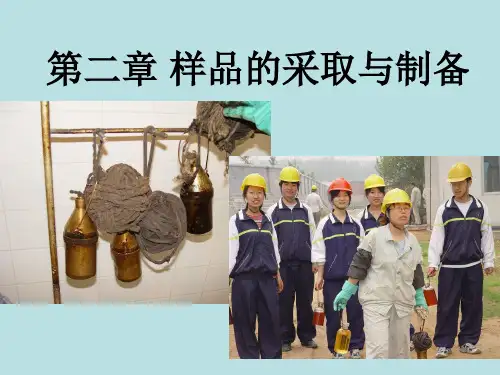 工业分析_第二章_试样的采取和制备ppt