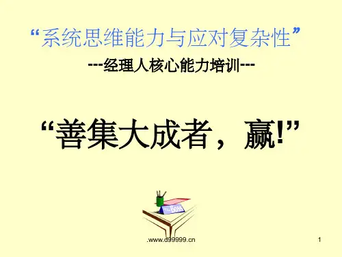系统思维能力与应对复杂性ppt课件