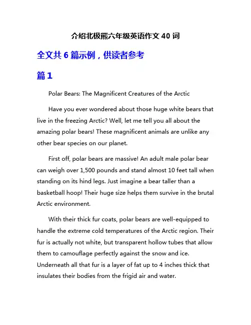 介绍北极熊六年级英语作文40词