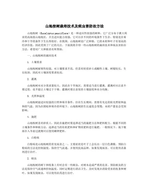 山地桉树栽培技术及病虫害防治方法
