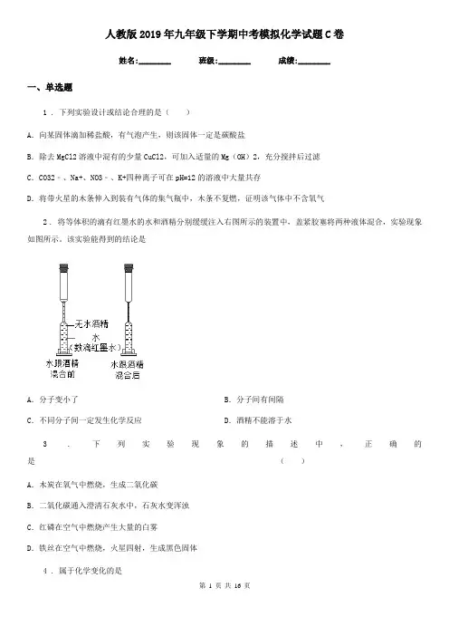 人教版2019年九年级下学期中考模拟化学试题C卷(模拟)