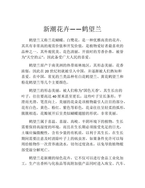 新潮花卉——鹤望兰
