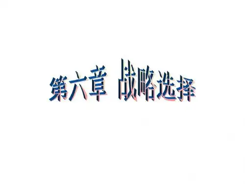 第六章 战略的选择