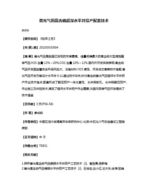 普光气田高含硫超深水平井投产配套技术