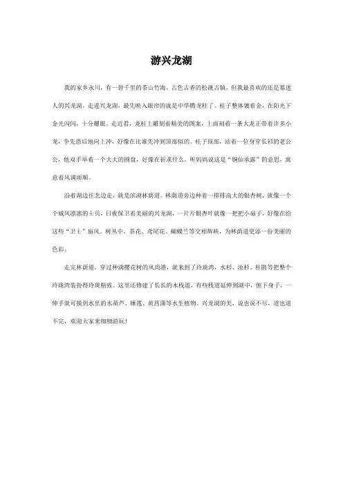 游兴龙湖作文400字四年级