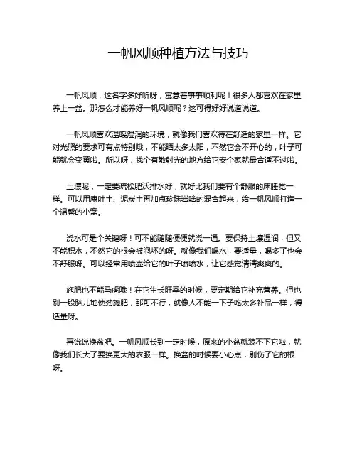 一帆风顺种植方法与技巧
