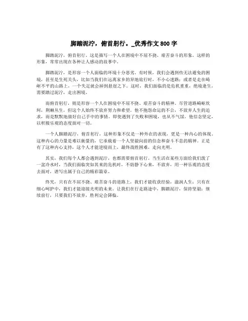 脚踏泥泞,俯首躬行。_优秀作文800字