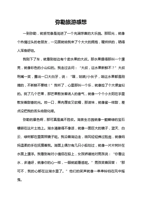 弥勒旅游感想