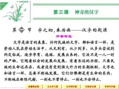 高中语文选修《语言文字应用》神奇的汉字3-1字之初,本为画——汉字的起源