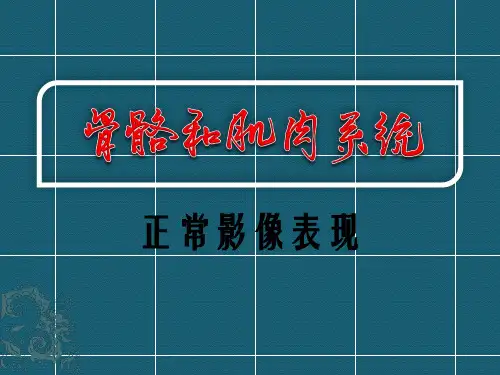 骨骼和肌肉系统基本影像表现